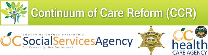 Continuum of Care Reform (CCR)
