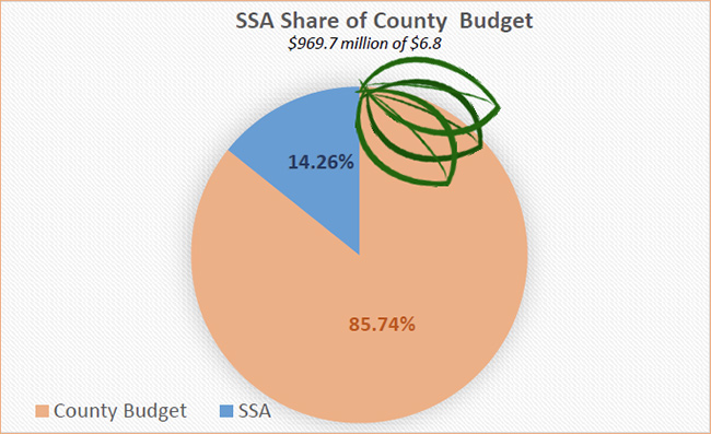 Pie chart showing SSA share of County budget
