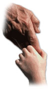 Picture of elderly's hand holding a child's hand